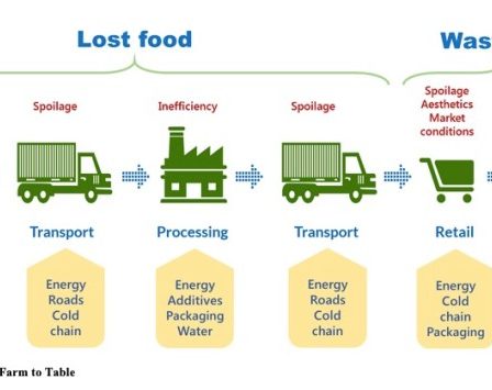Rice farm basmati taj paddy fields journey quality processing farms australia packaging milling aging testing experience natural through foods produce