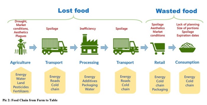 Rice farm basmati taj paddy fields journey quality processing farms australia packaging milling aging testing experience natural through foods produce Rice farm basmati taj paddy fields journey quality processing farms australia packaging milling aging testing experience natural through foods produce