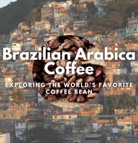 Scaa coffee wheel flavor taster unveils whole