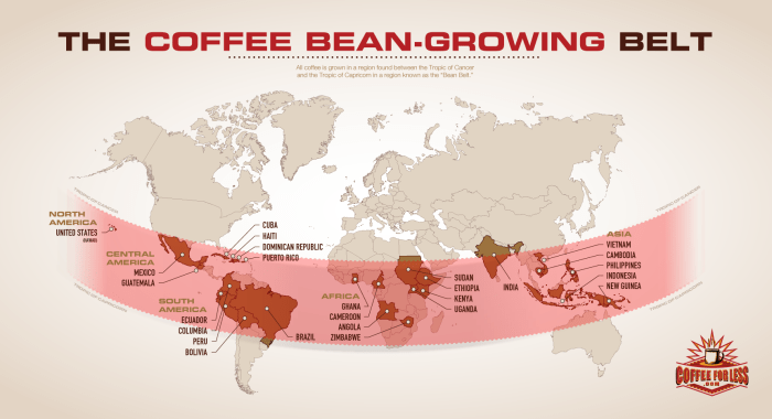 Coffee wheel flavor flavour scaa poster tasters tasting taste barista taster aroma counter culture cafe espresso café roast roasting aromas Coffee wheel flavor flavour scaa poster tasters tasting taste barista taster aroma counter culture cafe espresso café roast roasting aromas